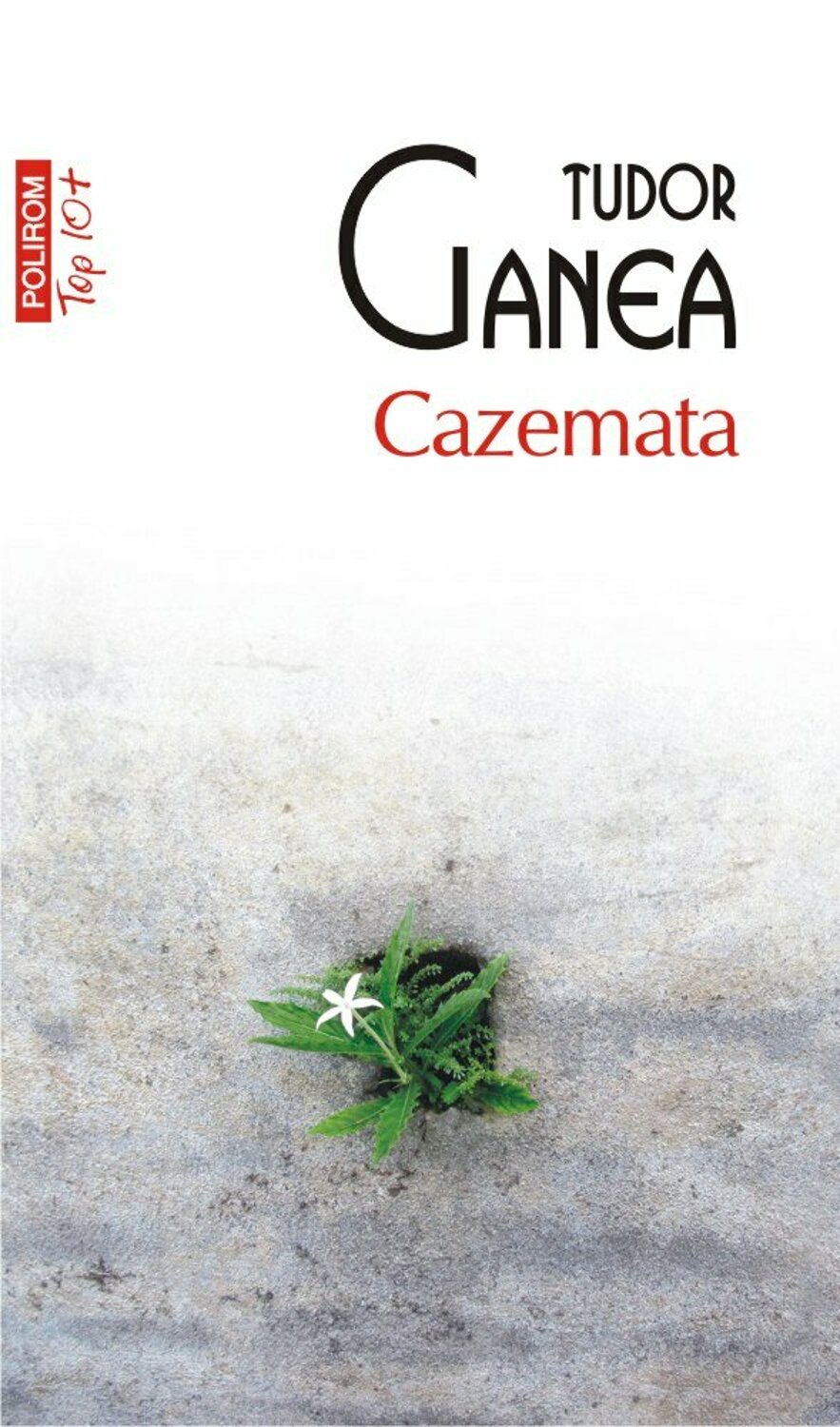Cazemata