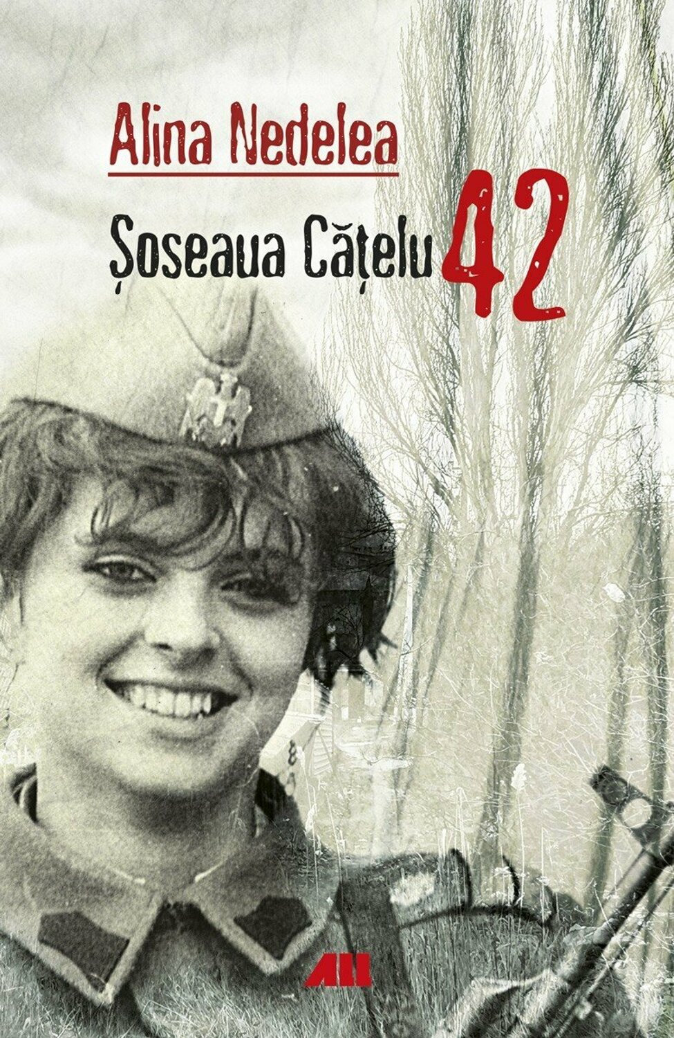 Soseaua Catelu 42