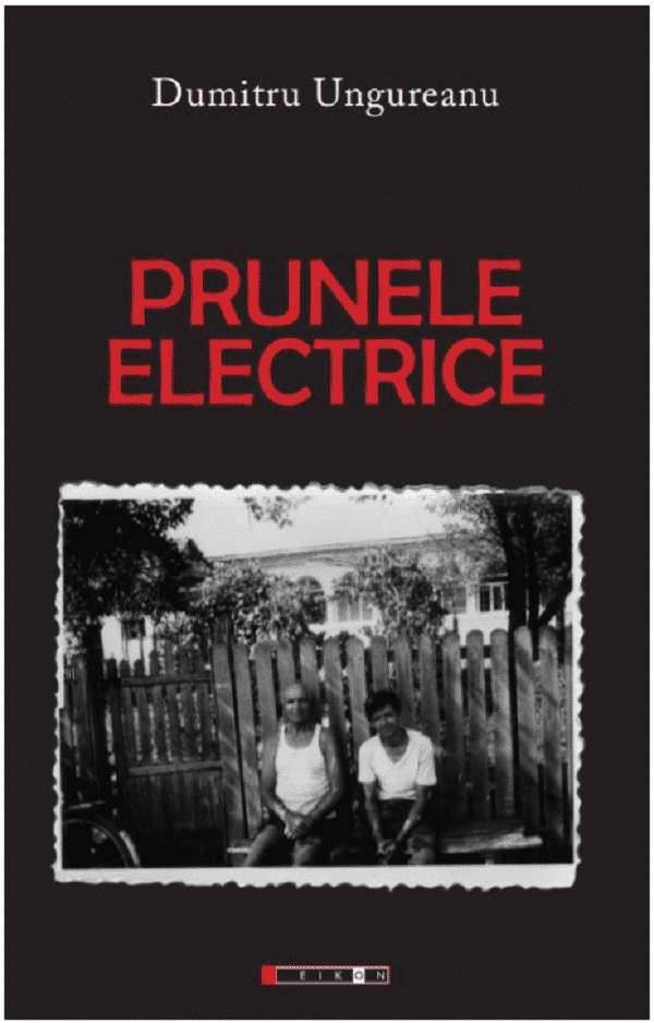 Prunele Electrice