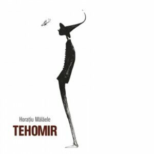 Tehomir